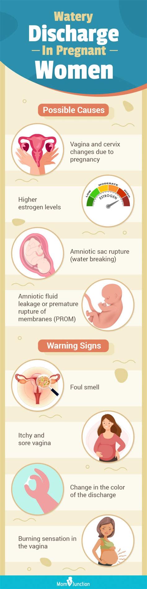 leaking early pregnancy|Watery fluid or discharge from vagina 